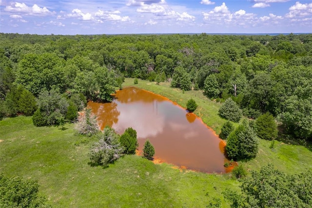 29877 Fishmarket Rd, Macomb, OK 74852 - aerial view of a heavily wooded area and a large body of water