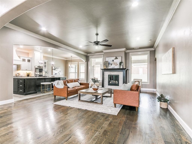 3009 Cordova Ct, Norman, OK 73072 - living room with dark wood-style flooring, ceiling fan, arched walkways, a glass covered fireplace, and ornamental molding