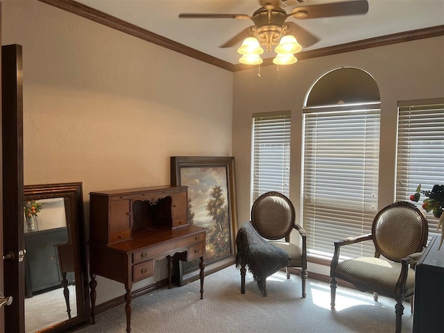 4609 N Gracelann St, Shawnee, OK 74804 - photo 19