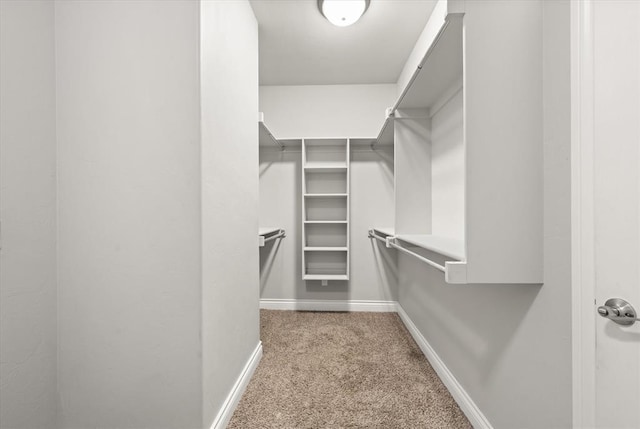 8309 NW 139th Ter, Oklahoma City, OK 73142 - spacious closet featuring carpet flooring