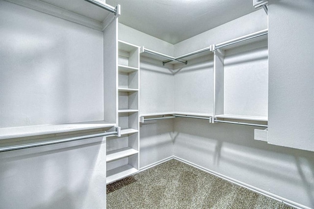816 Lakeview Dr, Moore, OK 73160 - spacious closet featuring carpet
