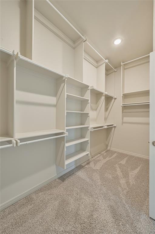3808 Palmetto Trl, Oklahoma City, OK 73179 - walk in closet featuring carpet
