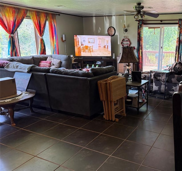342532 E 1020th Rd, Meeker, OK 74855 - living area with dark tile patterned floors and a ceiling fan