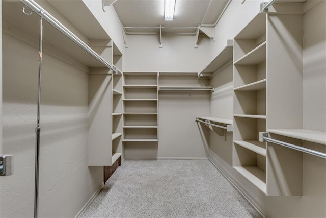 3000 Hampshire Ln, Oklahoma City, OK 73179 - walk in closet with carpet flooring