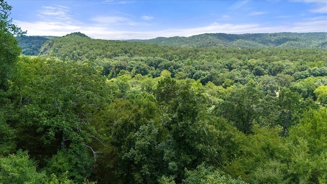 Split Creek Ln, Broken Bow, OK 74728