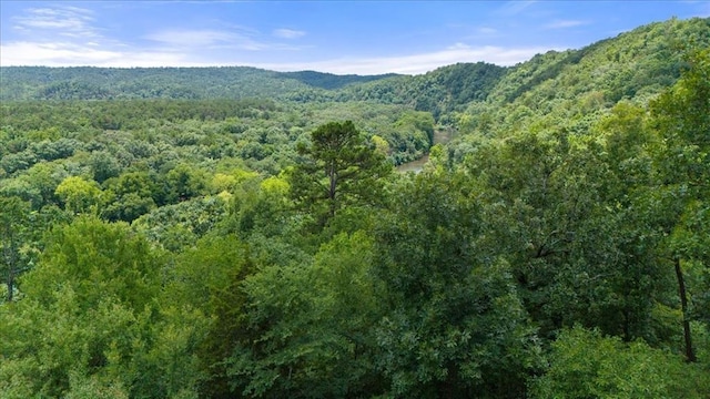 Split Creek Ln, Broken Bow, OK 74728