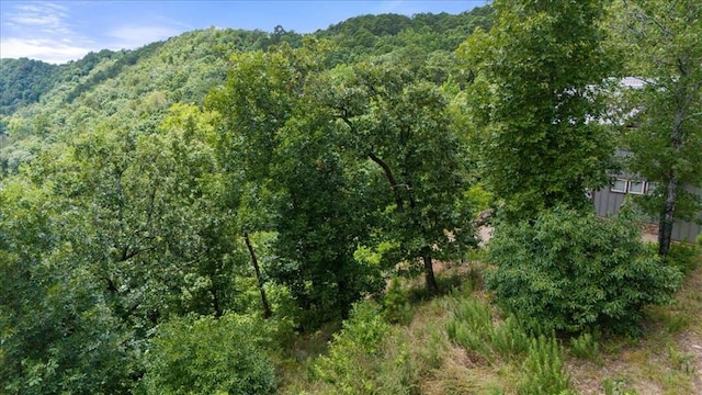 Split Creek Ln, Broken Bow, OK 74728
