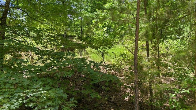 Split Creek Ln, Broken Bow, OK 74728