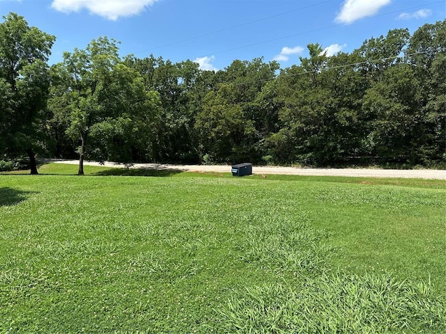 28197 Buck Townes Rd, Macomb, OK 74852 - view of green lawn