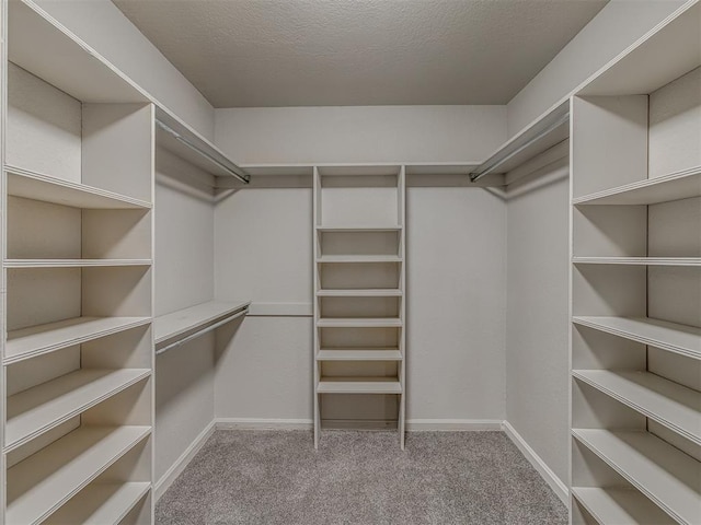 11300 N Pennsylvania Ave Unit 120, Oklahoma City, OK 73120 - walk in closet with carpet floors