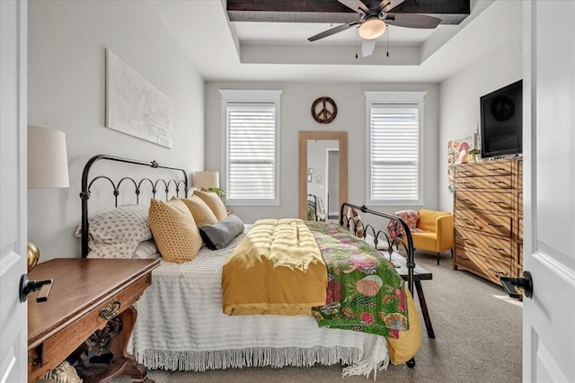 2033 Marsala Dr, Edmond, OK 73034 - bedroom with multiple windows, carpet, a raised ceiling, and a ceiling fan