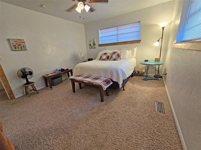 5712 Lawson Ln, Oklahoma City, OK 73132 - bedroom featuring multiple windows, carpet, a ceiling fan, and a textured wall