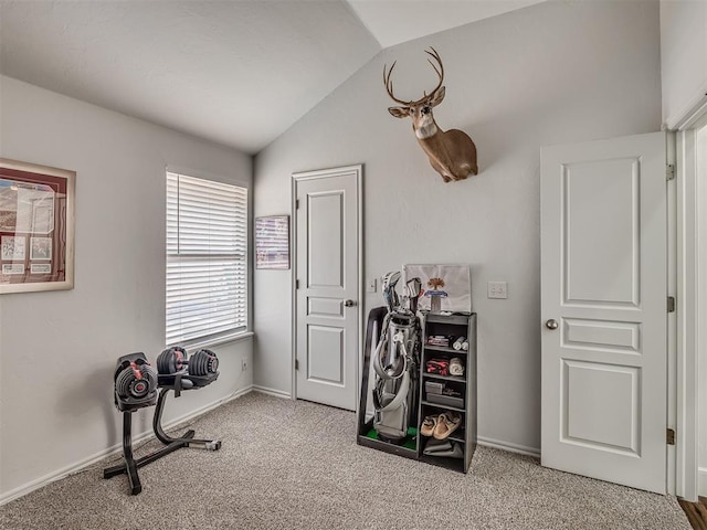 5112 NW 163rd St, Edmond, OK 73013 - exercise room with lofted ceiling and carpet floors