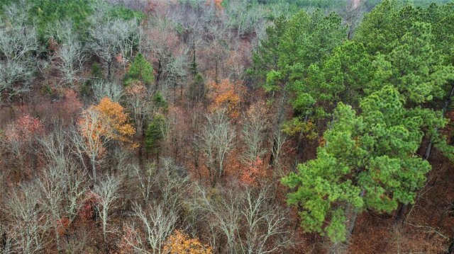 184 Sycamore Bottoms Ln, Broken Bow, OK 74728 - photo 4