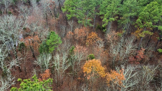 184 Sycamore Bottoms Ln, Broken Bow, OK 74728 - photo 5