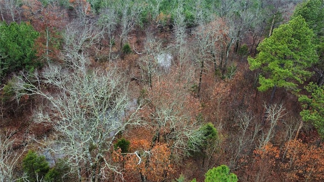 184 Sycamore Bottoms Ln, Broken Bow, OK 74728 - photo 6