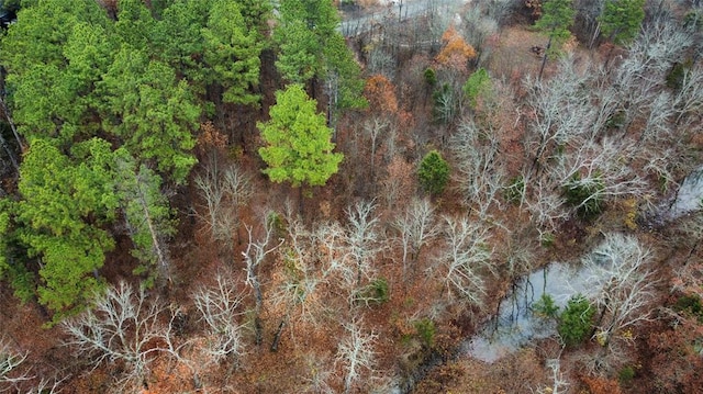 184 Sycamore Bottoms Ln, Broken Bow, OK 74728 - photo 7