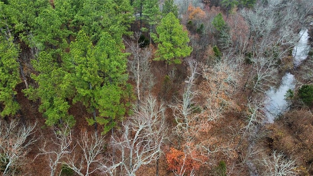 184 Sycamore Bottoms Ln, Broken Bow, OK 74728 - photo 8