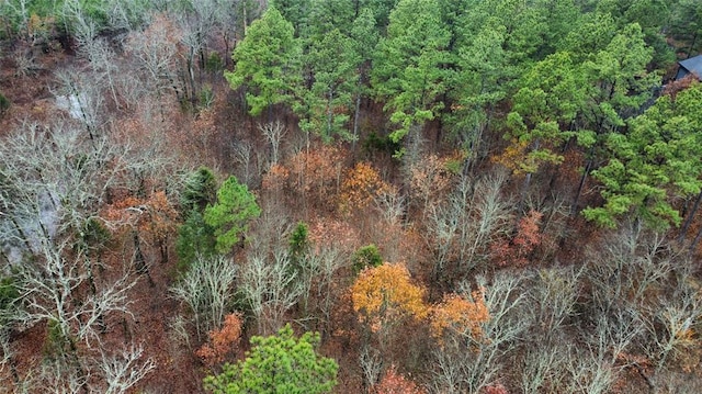 184 Sycamore Bottoms Ln, Broken Bow, OK 74728 - photo 9