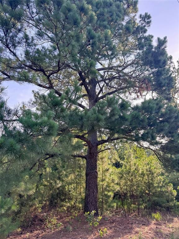 E 940 Road, Wellston, OK 74881