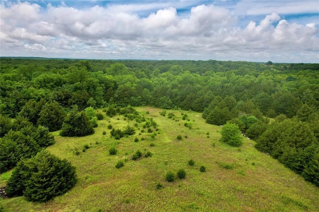 0004 W 80th St, Coyle, OK 73027 - photo 18