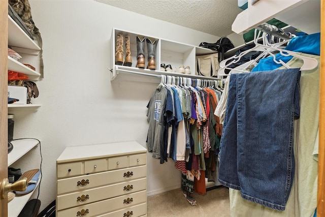 1623 W Washington Ave, Guthrie, OK 73044 - spacious closet with carpet floors