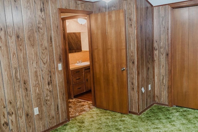 503 N Sheb Wooley Ave, Erick, OK 73645 - carpeted spare room featuring wood walls and a sink