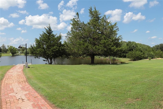 11800 Bryant Rd, Lexington, OK 73051 - view of home's community with a water view and a lawn