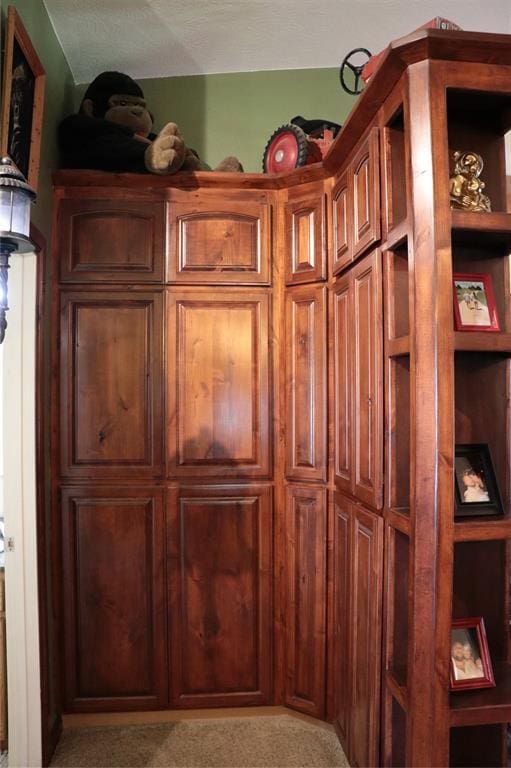 11800 Bryant Rd, Lexington, OK 73051 - detailed view of carpet