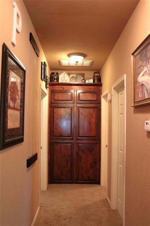 11800 Bryant Rd, Lexington, OK 73051 - hall with light colored carpet