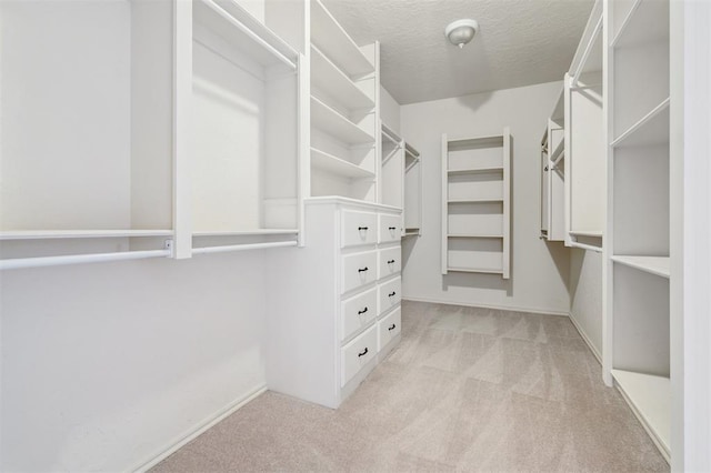 1008 Trisha Ln, Norman, OK 73072 - spacious closet featuring light carpet