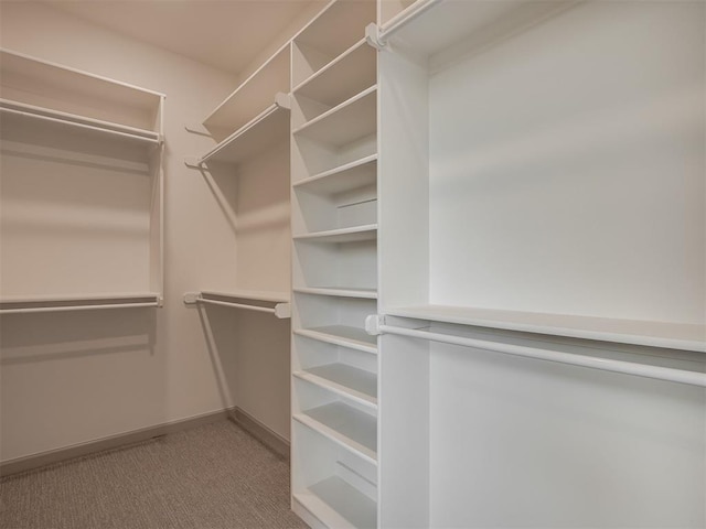 6609 NW 147th St, Oklahoma City, OK 73142 - walk in closet featuring carpet