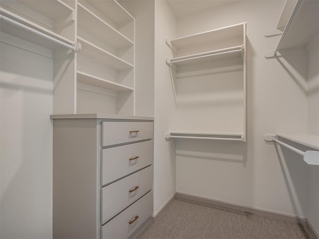 6609 NW 147th St, Oklahoma City, OK 73142 - walk in closet with carpet