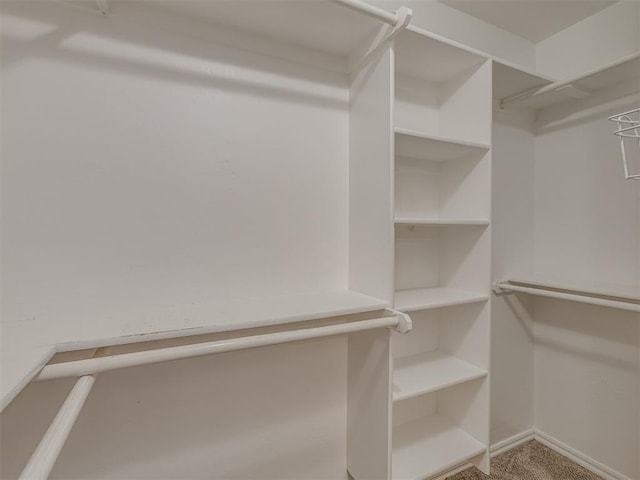 4513 SE 79th Ter, Oklahoma City, OK 73135 - view of walk in closet