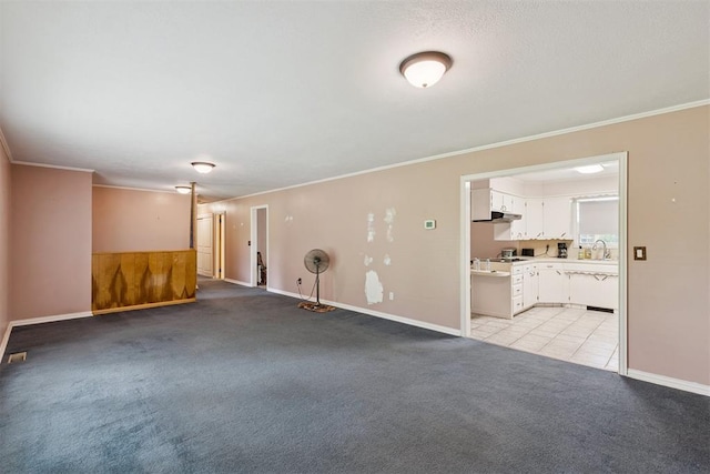 104951 S 3440th Rd, Meeker, OK 74855 - unfurnished room featuring light carpet and crown molding