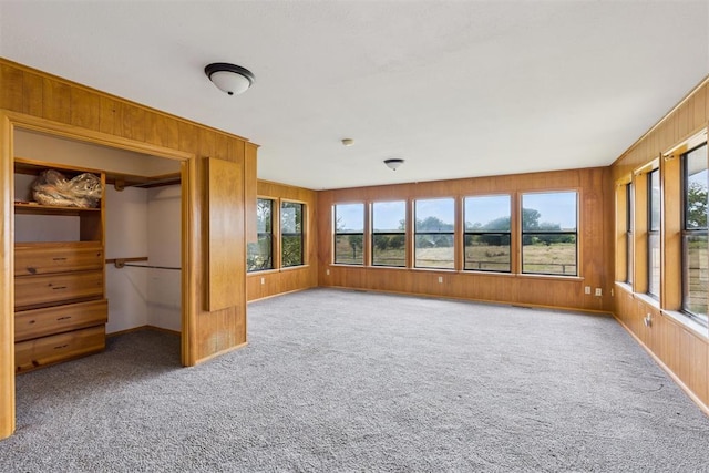 104951 S 3440th Rd, Meeker, OK 74855 - unfurnished bedroom with wood walls, carpet, and a spacious closet