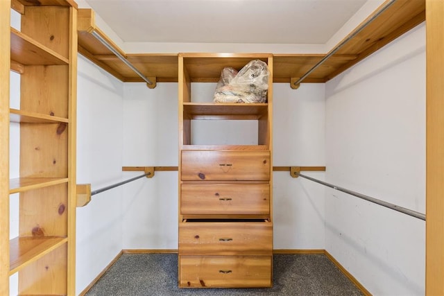 104951 S 3440th Rd, Meeker, OK 74855 - walk in closet with carpet flooring