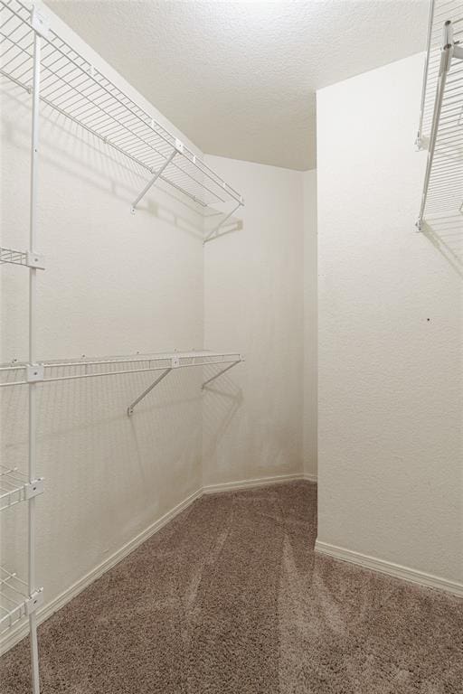 1709 Rocky Mountain Way, Edmond, OK 73003 - spacious closet featuring carpet flooring