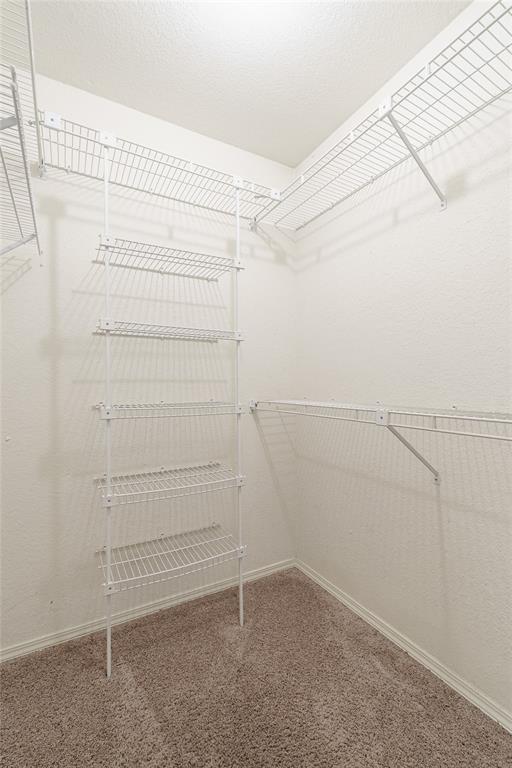1709 Rocky Mountain Way, Edmond, OK 73003 - walk in closet with carpet