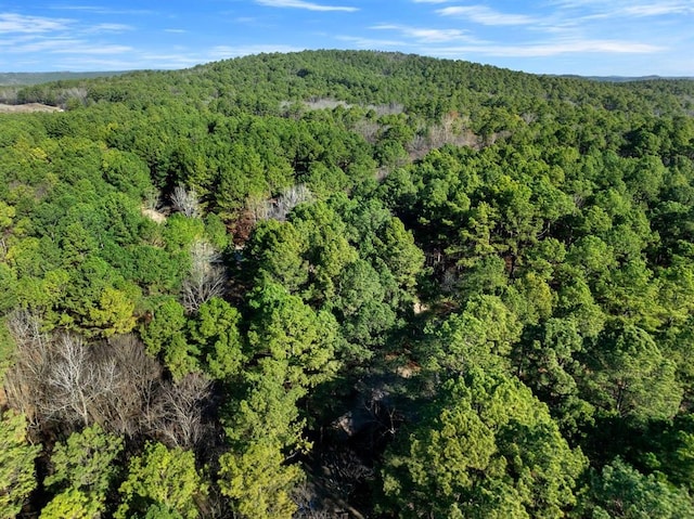 123 Hemlock Grove Rd, Hochatown, OK 74728 - view of property location featuring a heavily wooded area