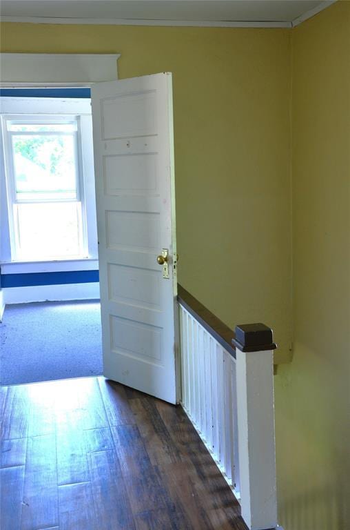 120 S Chickasaw Ave, Bartlesville, OK 74003 - corridor with ornamental molding and dark wood-type flooring