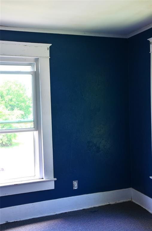 120 S Chickasaw Ave, Bartlesville, OK 74003 - carpeted spare room with ornamental molding and baseboards