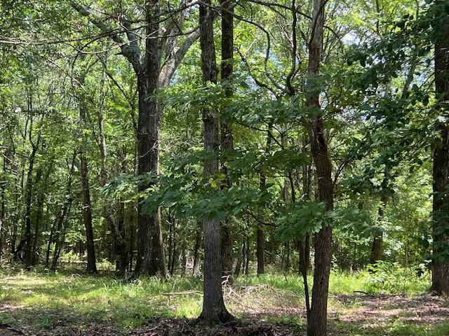 3272 Indian Highway 144, Broken Bow, OK 74728 - photo 5