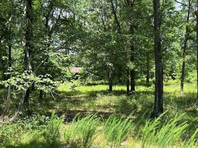 3272 Indian Highway 144, Broken Bow, OK 74728 - photo 6