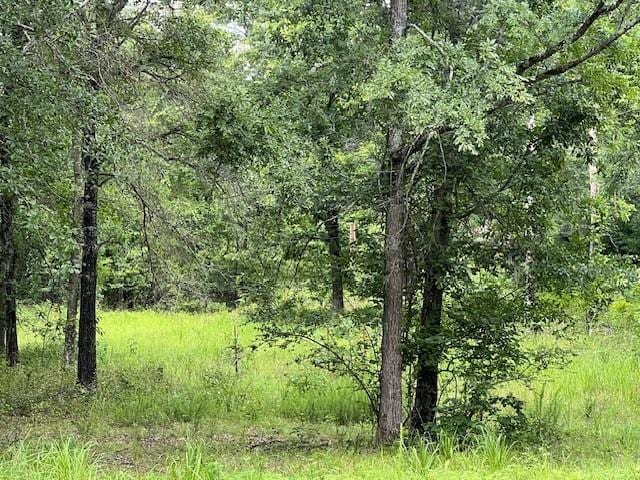 3272 Indian Highway 144, Broken Bow, OK 74728 - photo 18