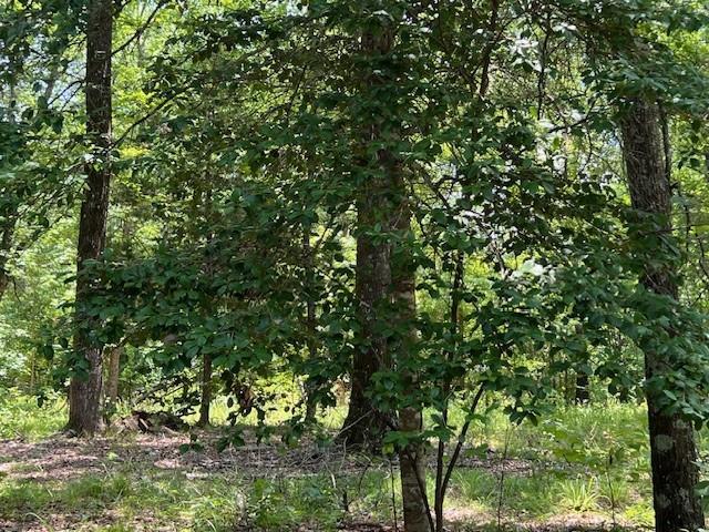 3272 Indian Highway 144, Broken Bow, OK 74728 - photo 21