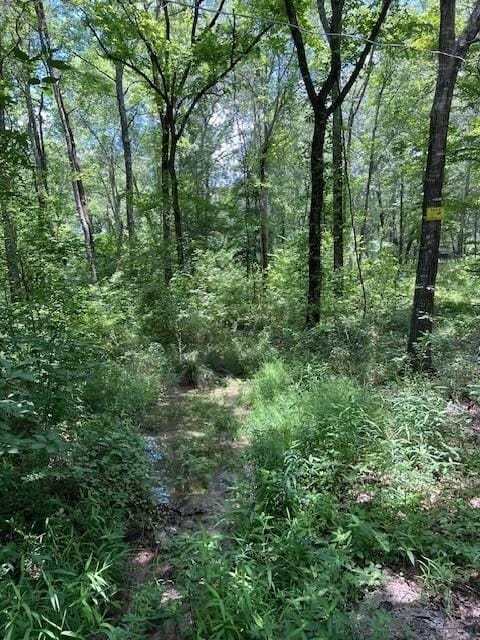 3272 Indian Highway 144, Broken Bow, OK 74728 - photo 23