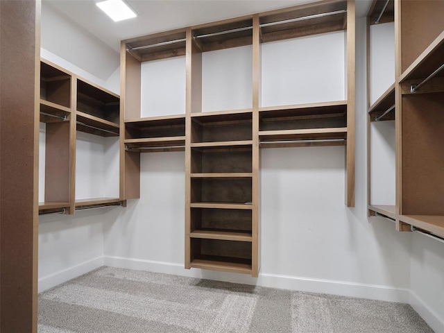 408 Nantucket Blvd, Norman, OK 73071 - walk in closet with carpet flooring