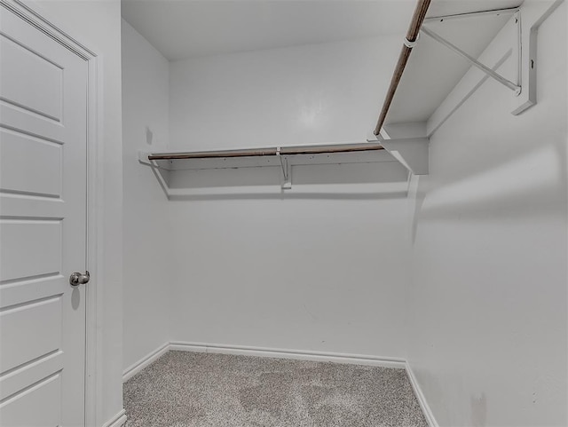 4205 Palmetto Bluff Dr, Mustang, OK 73064 - spacious closet with carpet