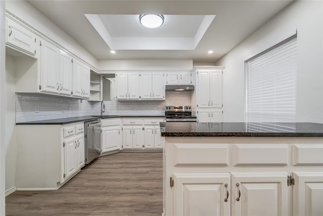 7913 Debar Cir, Oklahoma City, OK 73132 - kitchen featuring stainless steel appliances, under cabinet range hood, a raised ceiling, tasteful backsplash, and white cabinetry